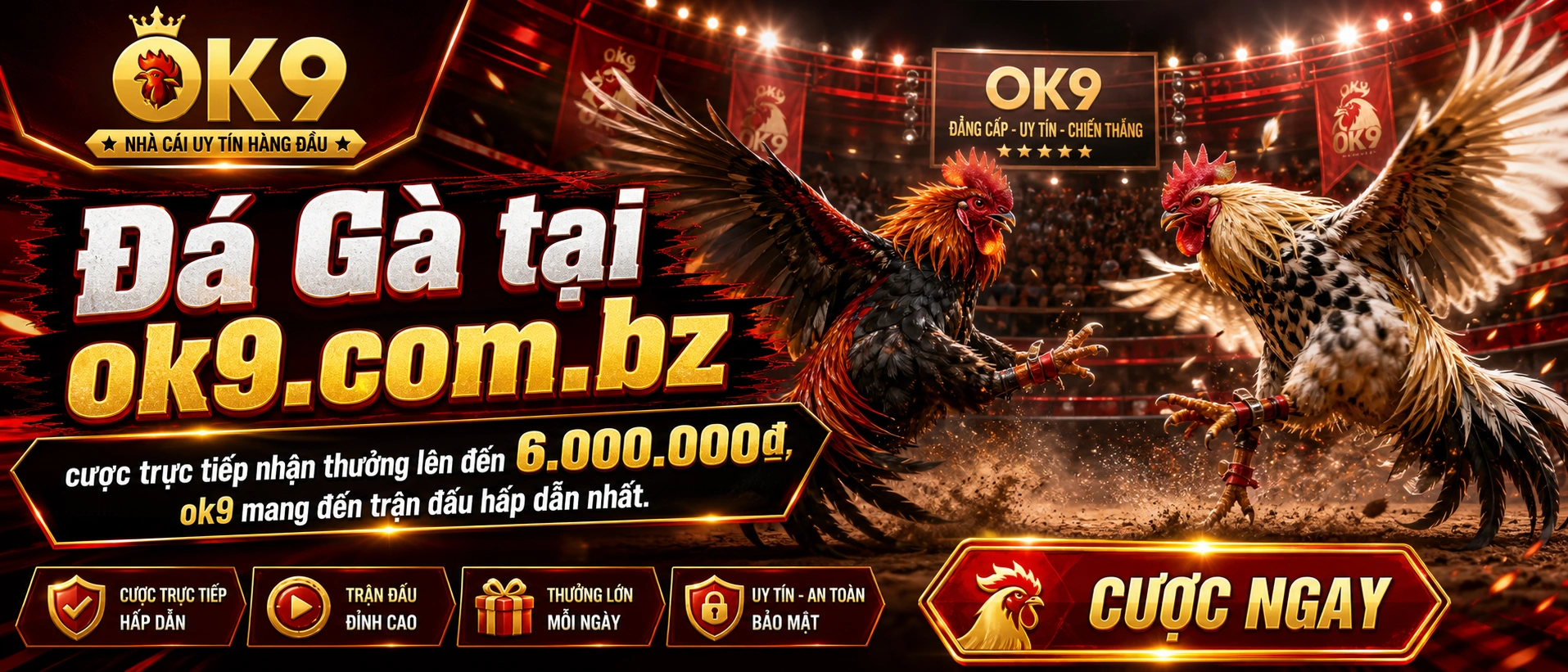 Đá Gà Hubet - hình ảnh trung tâm danh mục